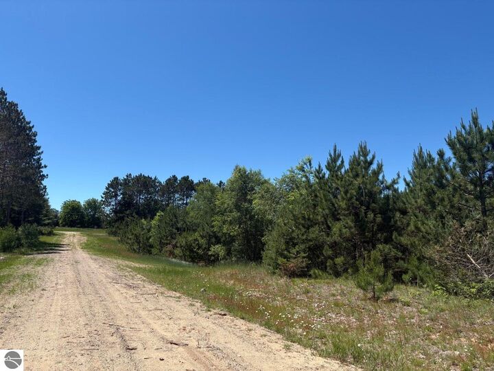 Property Photo: 7.91 Butwell Road MI 49614