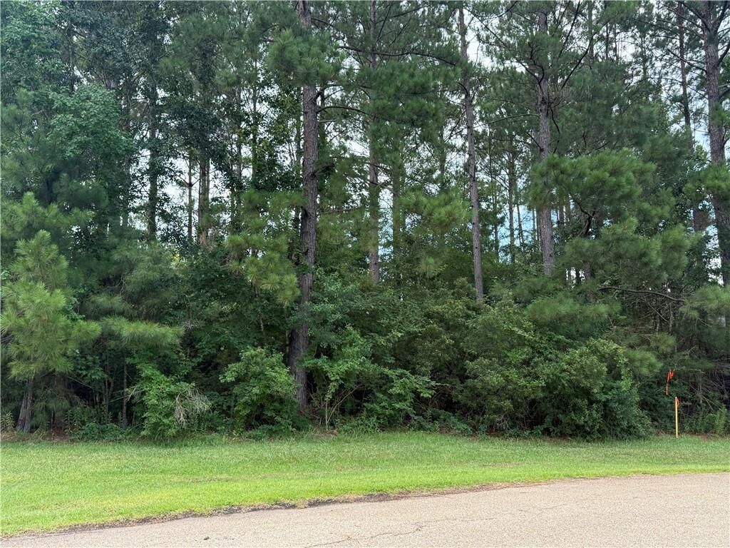 Property Photo: 320 Beebalm Circle LA 70435