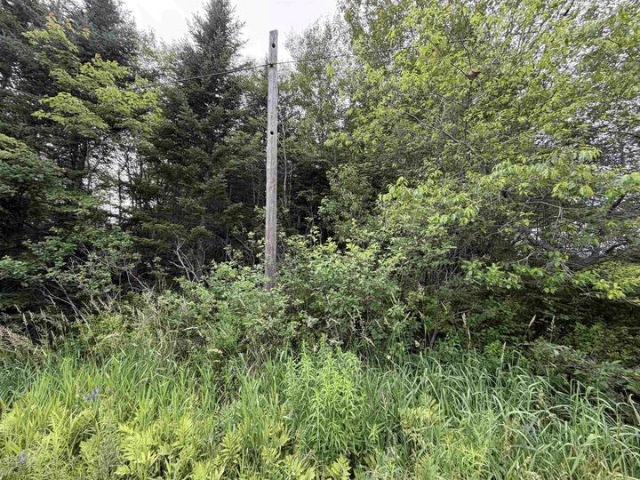 Property Photo:  Lot 14 Highway 2  NS B0N 2J0 