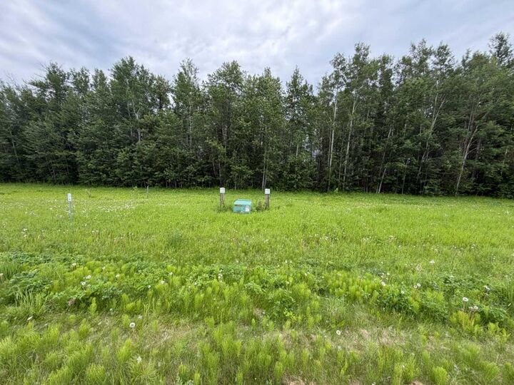 Property Photo:  1 Spruce Point Estates Road  AB T0G 2K0 