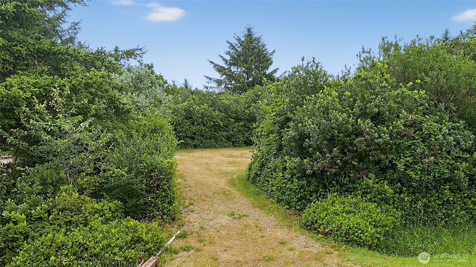Property Photo:  284  Captains Court SW  WA 98569 