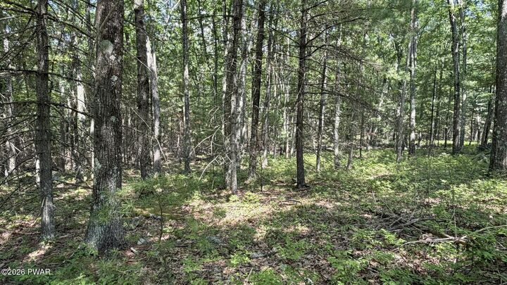 Property Photo:  Lot 45 Soose Way  PA 18464 