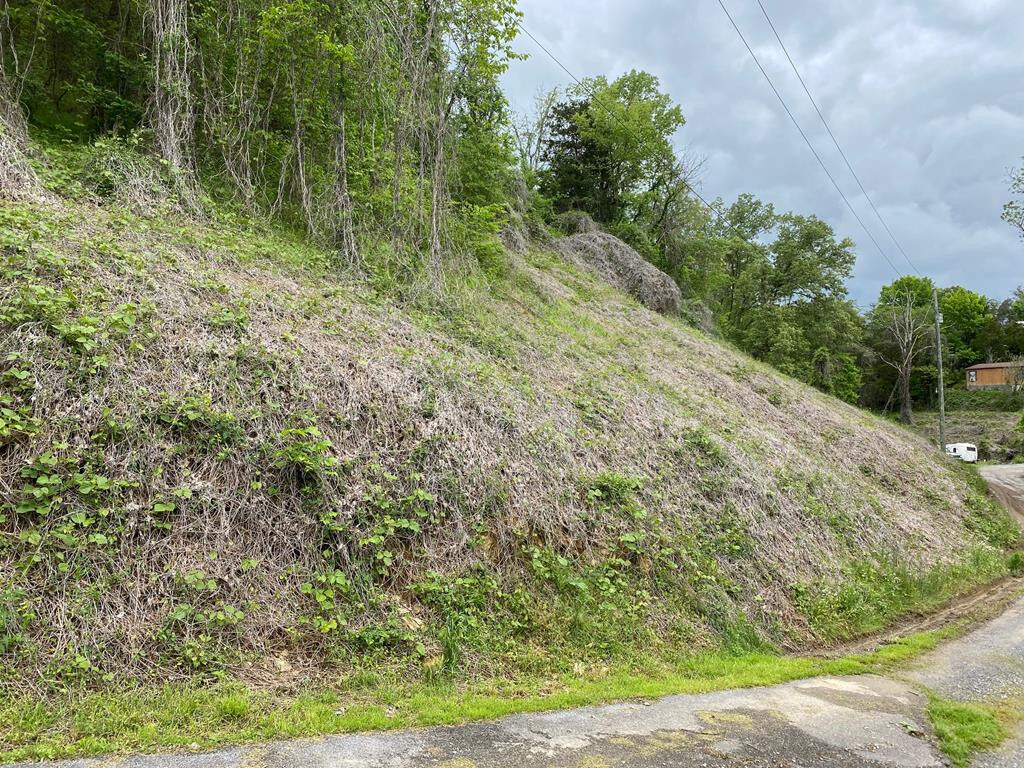 Property Photo:  Lot 4 Coveside Way  TN 37876 