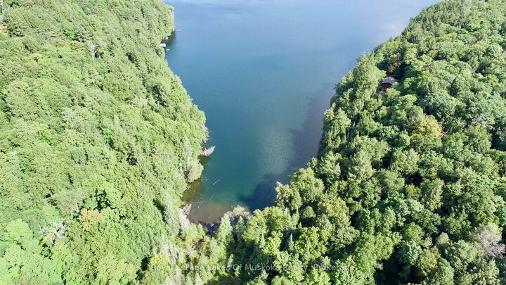 0 Island Lake Wao Island — photo 1
