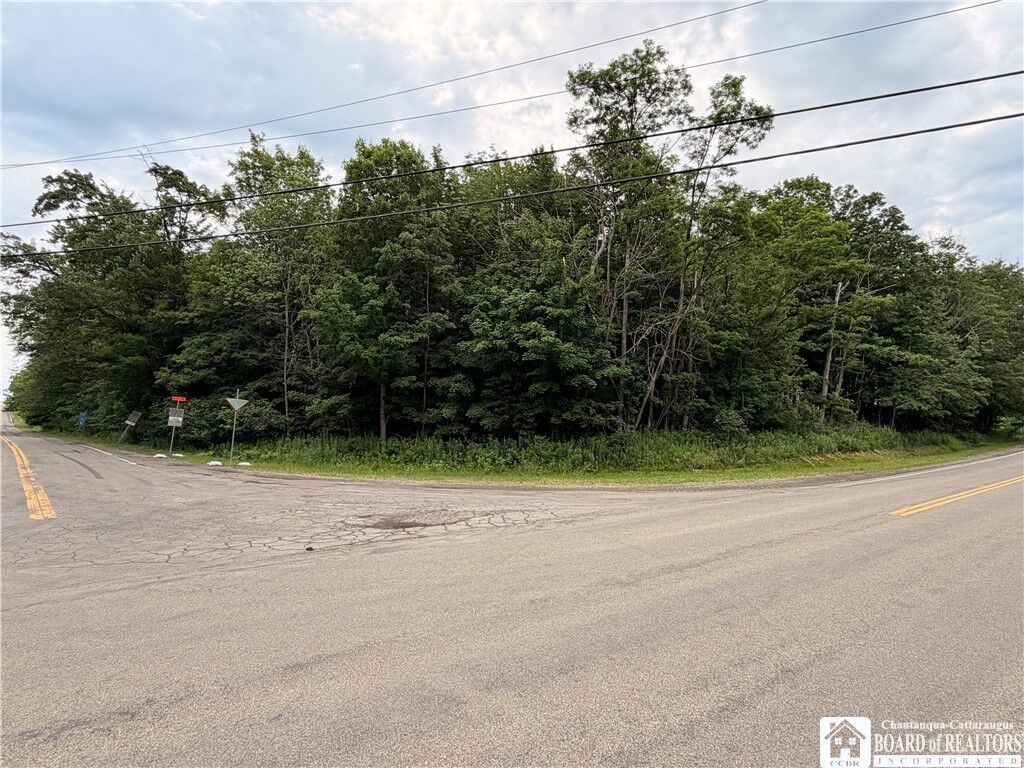 Property Photo:  00 Panama-Stedman Road  NY 14757 