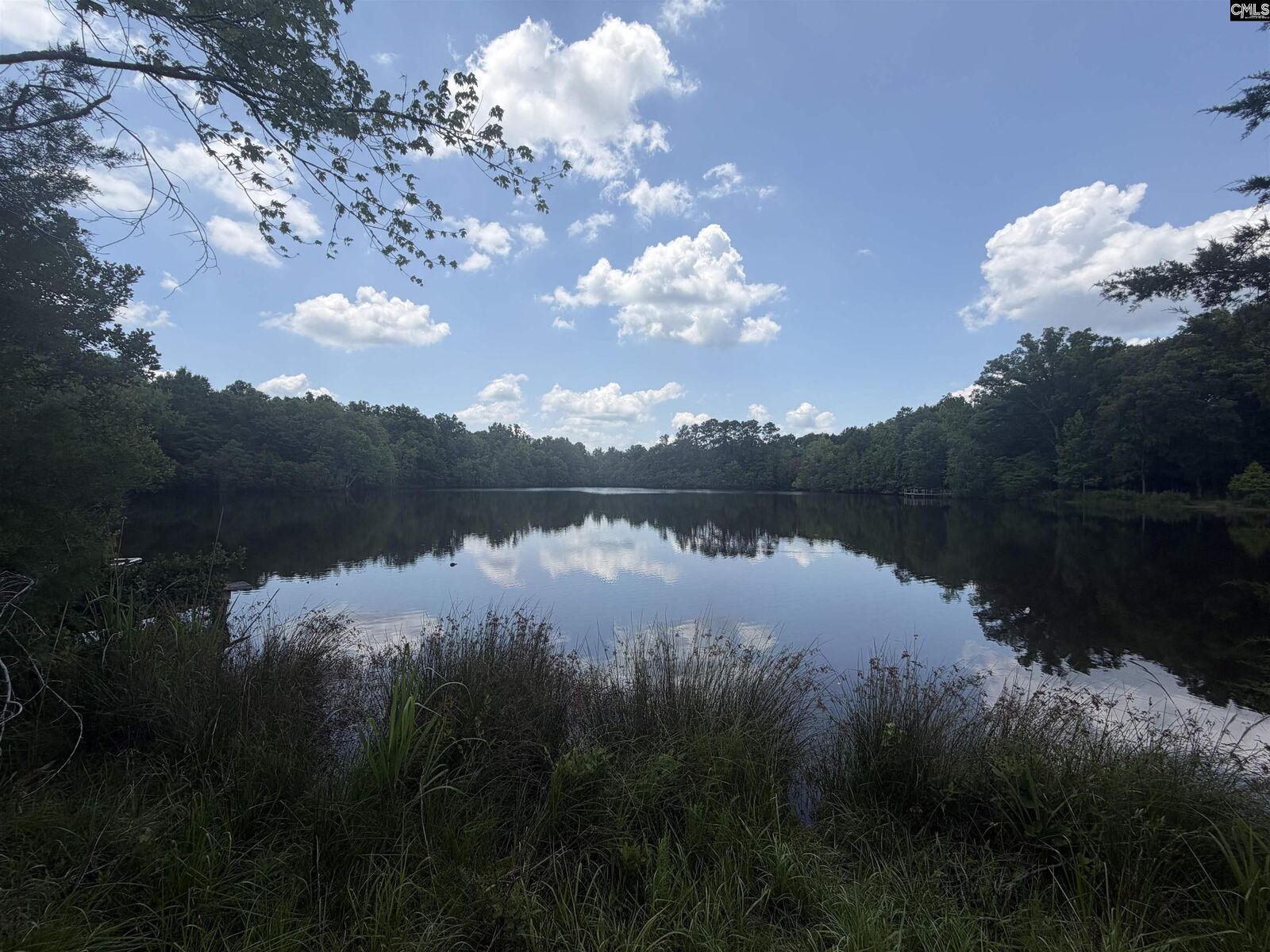Property Photo: 789 Ira Kinard SC 29127-000