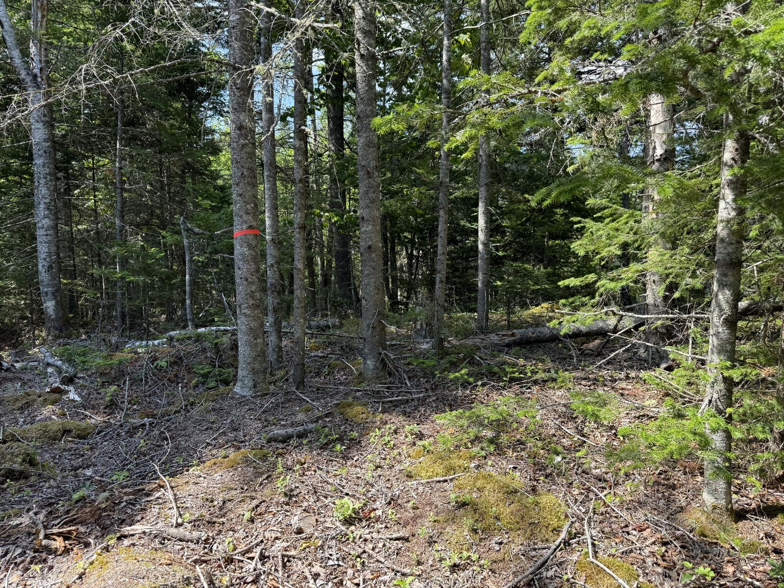 Property Photo:  M6l21 Great Cove Road  ME 04654 