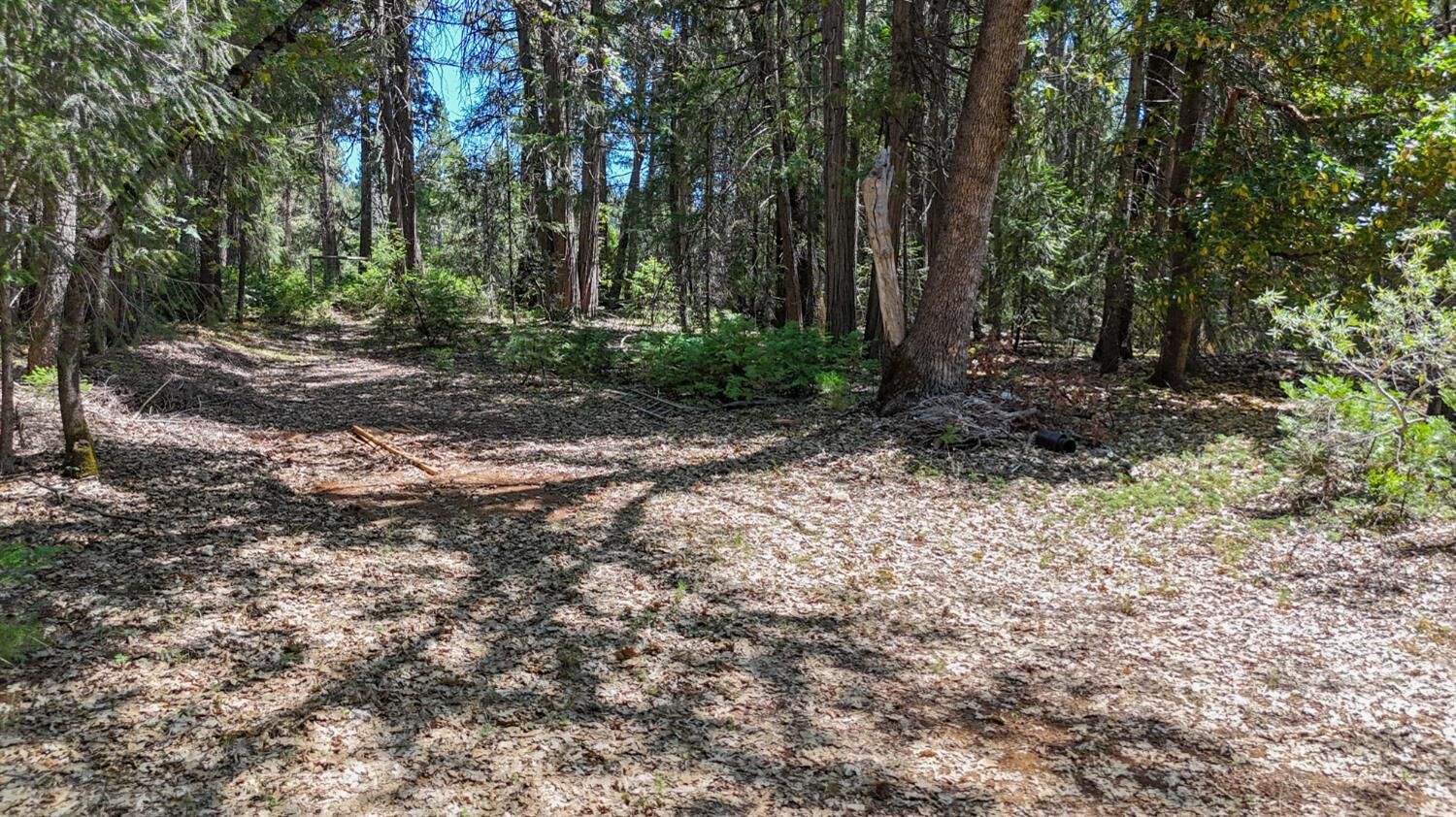 Property Photo: 12479 Tesla Place CA 95959