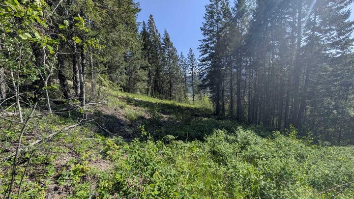 Property Photo:  3483 Highway 95 Site #12, 13 , 14  BC V0A 1A4 