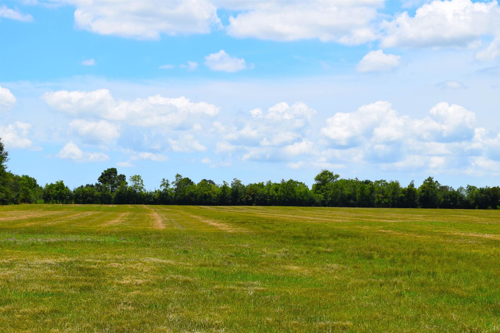 Property Photo: 13595 Coon Rd TX 77665