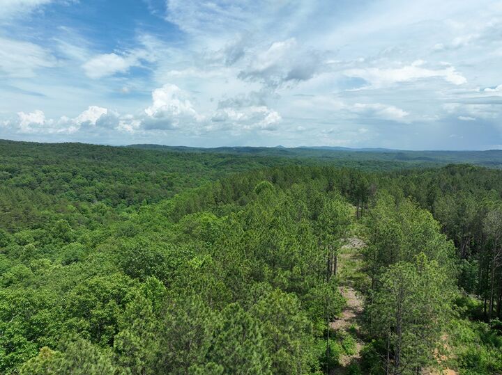 Property Photo:  0 Pearl Johnson Road  GA 30734 