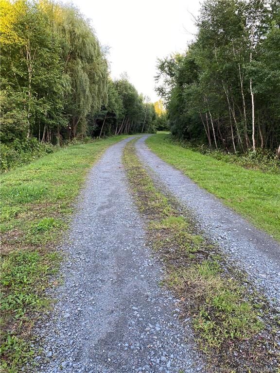 Property Photo: 447 New Maryland Highway NB E3C 2H5