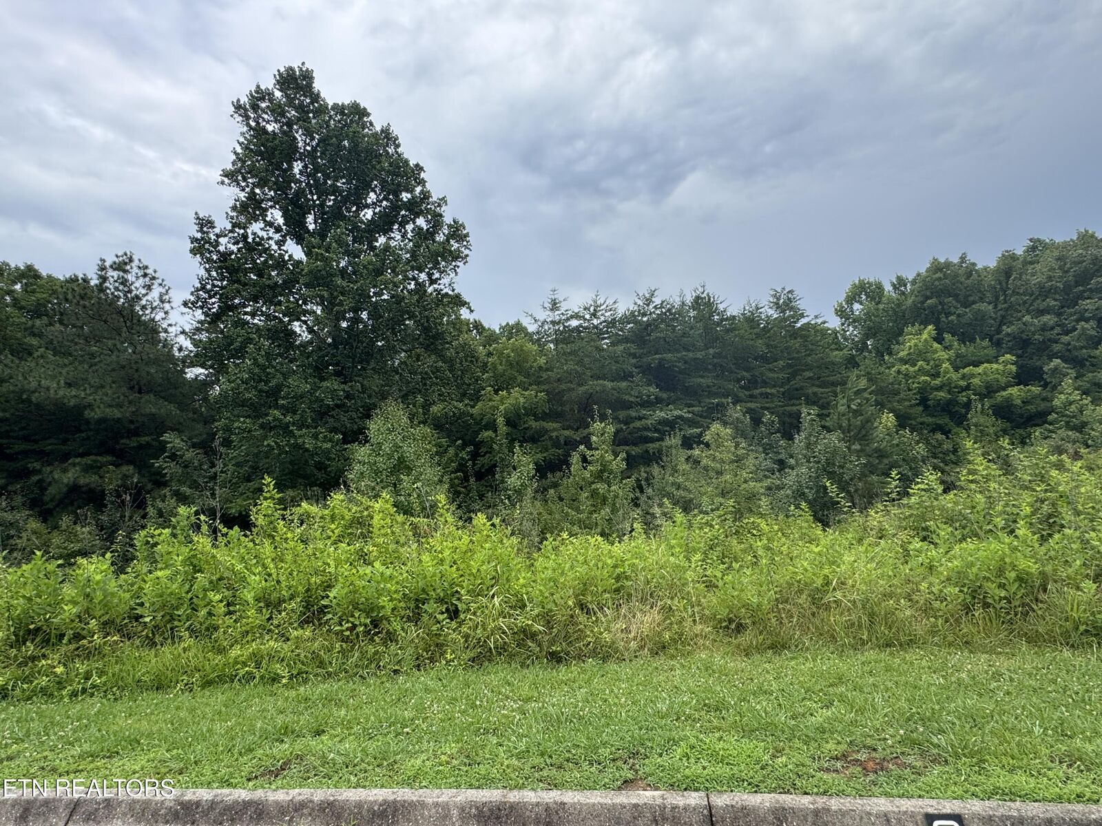 Property Photo:  0 Evergreen Cove Lot 4 St  TN 37763 