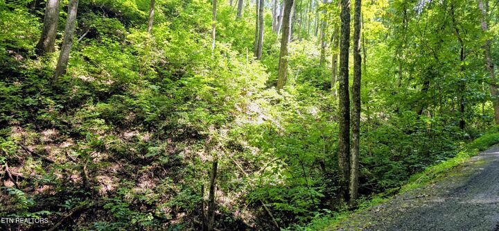 Property Photo:  Lot 15 Emerald Springs Loop  TN 37862 