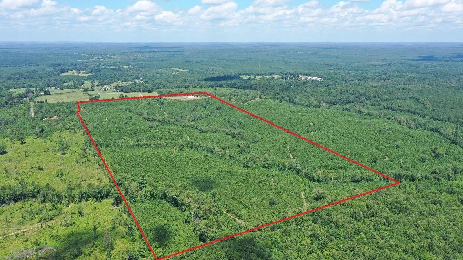 Property Photo: 0000 Shady Grove Road TX 75657