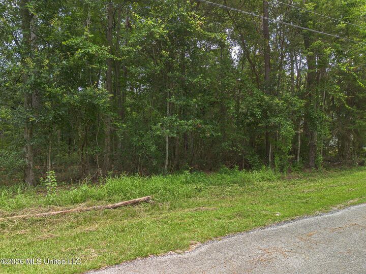 Property Photo:  Lot 11 Green Thumb Drive  MS 39532 