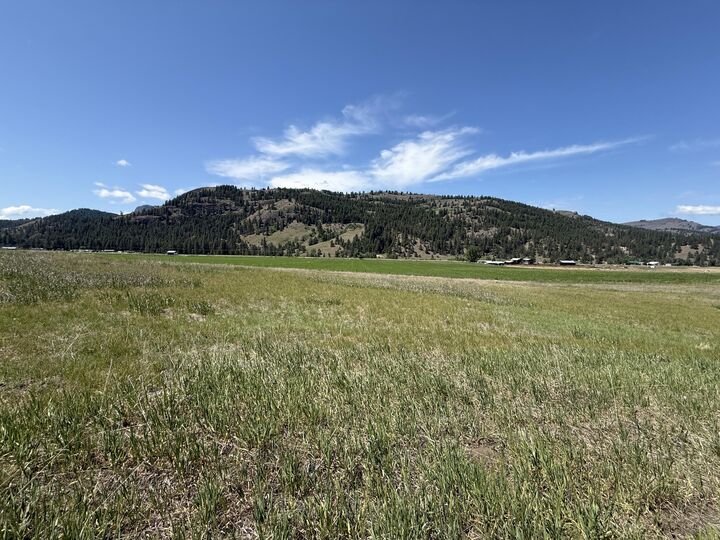 Property Photo:  Tbd Art Creek Rd  WA 99150 