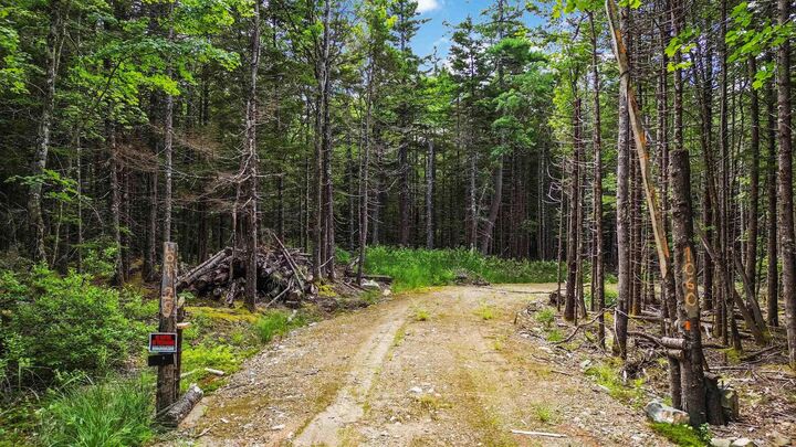 Property Photo:  Lot 29 Boutilier Branch Road  NS B0W 1Y0 
