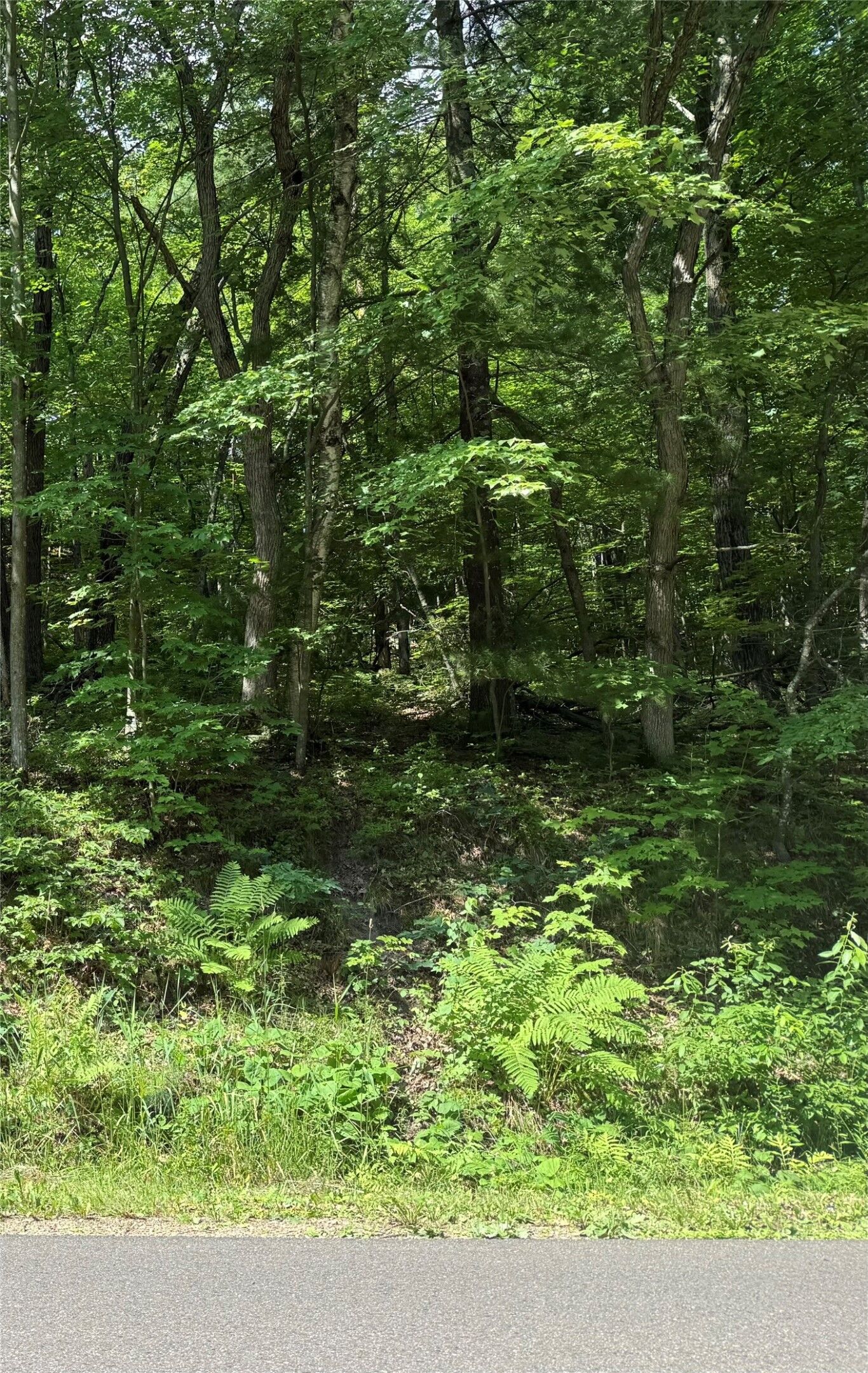 Property Photo: 2.81 Acre N 90th Avenue WI 54703