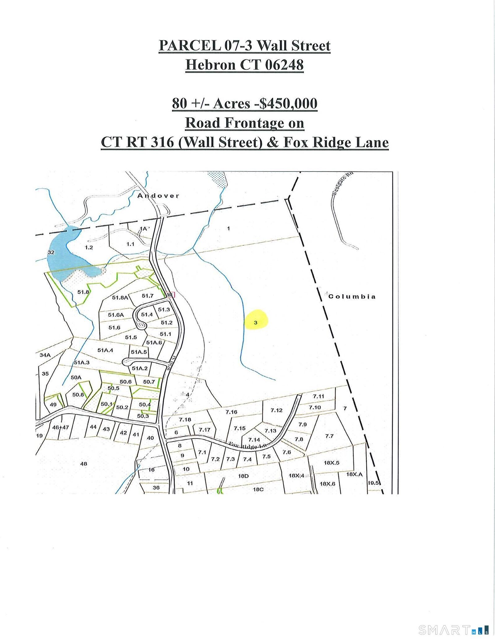 Property Photo:  Parcel 07-3 Wall Street  CT 06248 