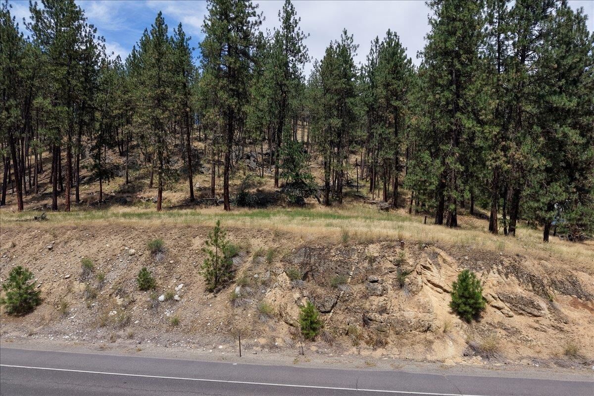 Property Photo: 11xxx Nine Mile Rd WA 99026