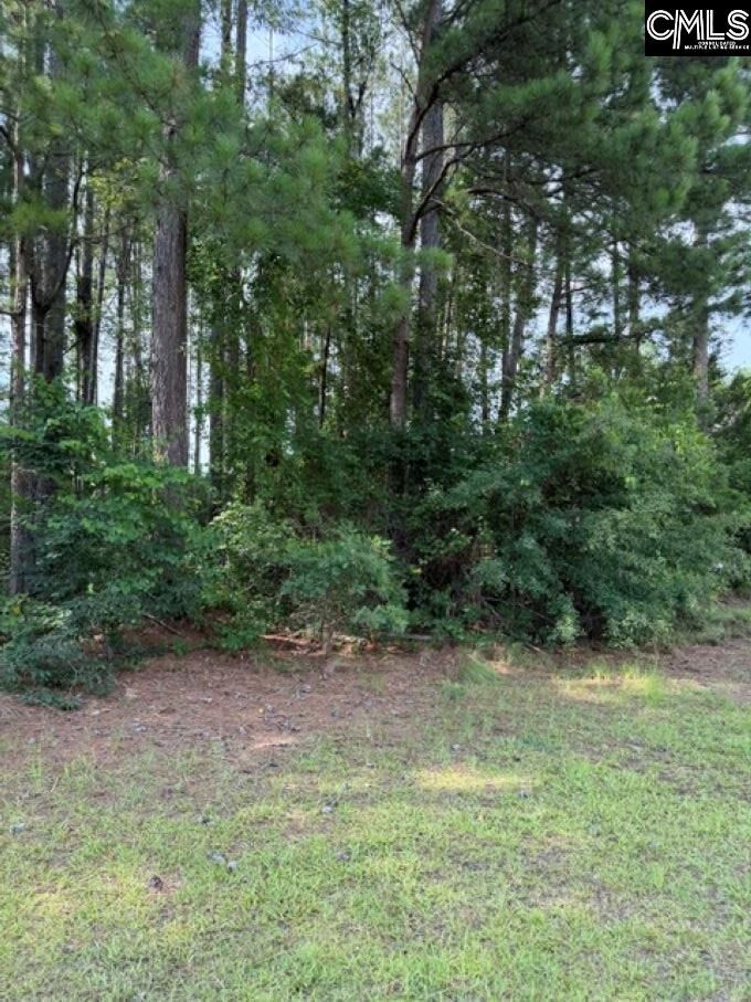Property Photo:  2140 Watersong  SC 29150 
