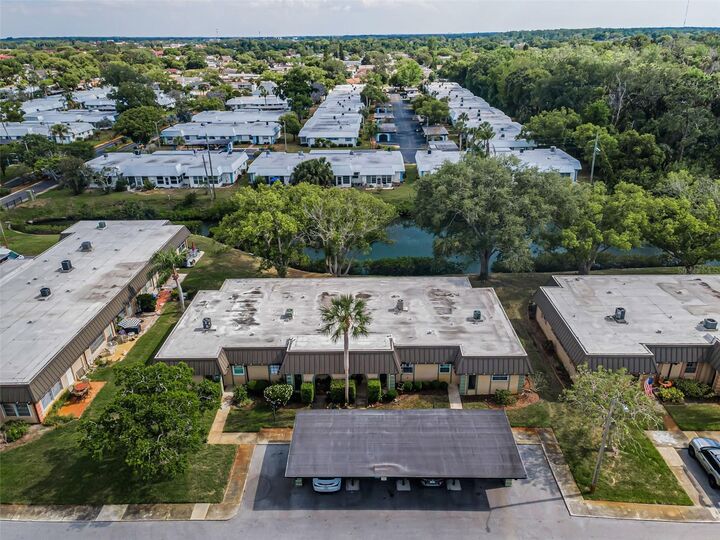Property Photo:  4200 Hampton Drive  FL 34652 