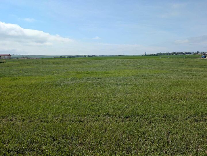 Property Photo:  237 North  AB T0M 2C0 