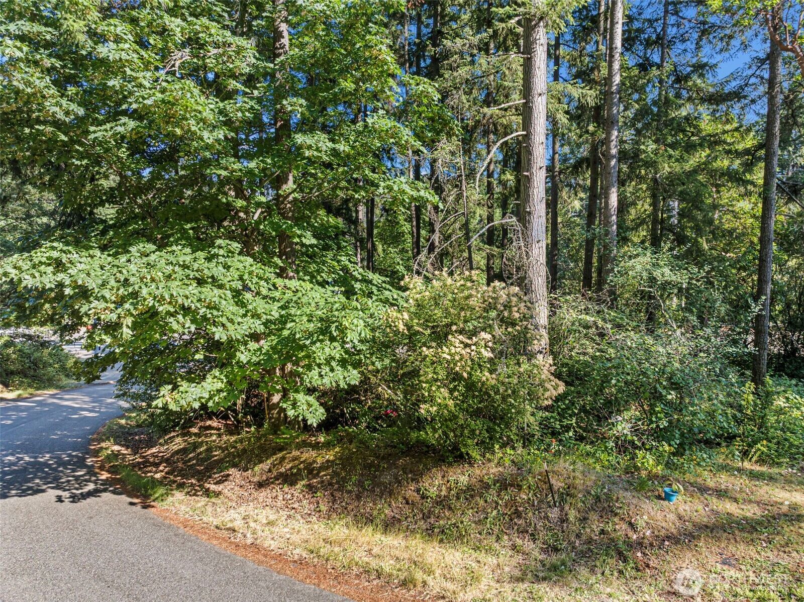 Property Photo:  4618  Timber Lane NW  WA 98335 