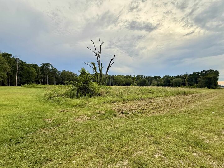 Property Photo: 11553 Fm 2937 TX 77657