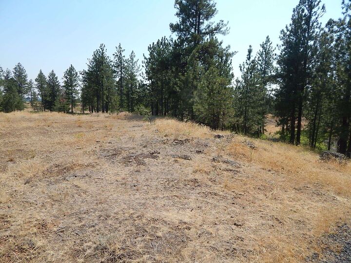 Property Photo: 249014 W Kitt Rd WA 99029