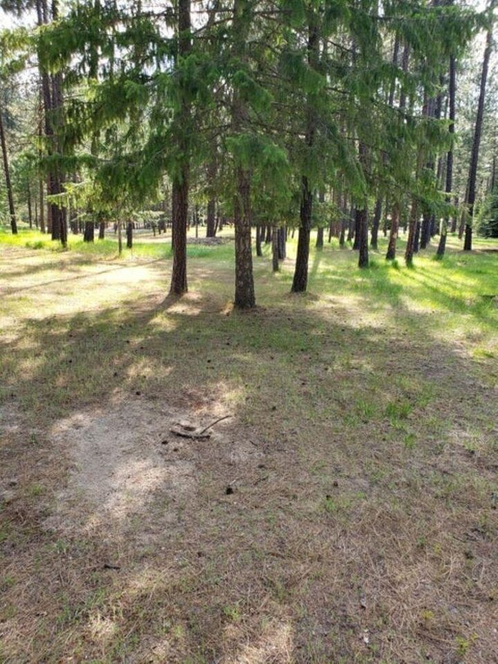 Property Photo:  256 Eagle Dr  WA 99109 