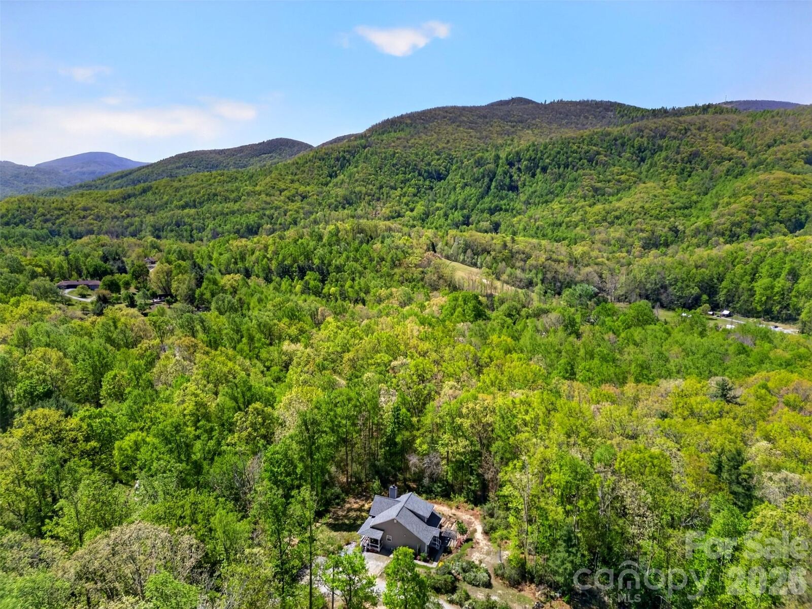 Property Photo:  38 Pine Hill Road  NC 28730 