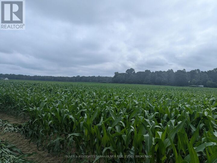 Property Photo:  4688 Godby Road  ON N0J 1T0 