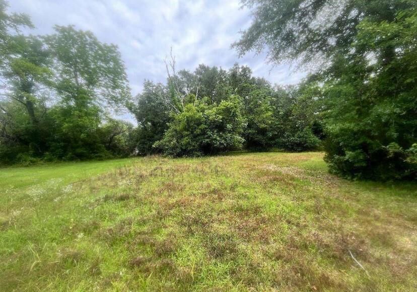 Property Photo:  1318 E Roosevelt Avenue  GA 31705 