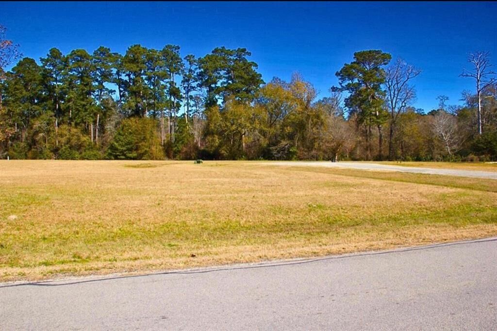 Property Photo: 1 Wild Forest Court TX 77340