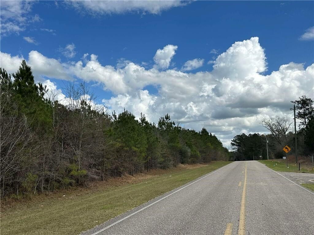 Property Photo:  0 Maytower Road  AL 36579 