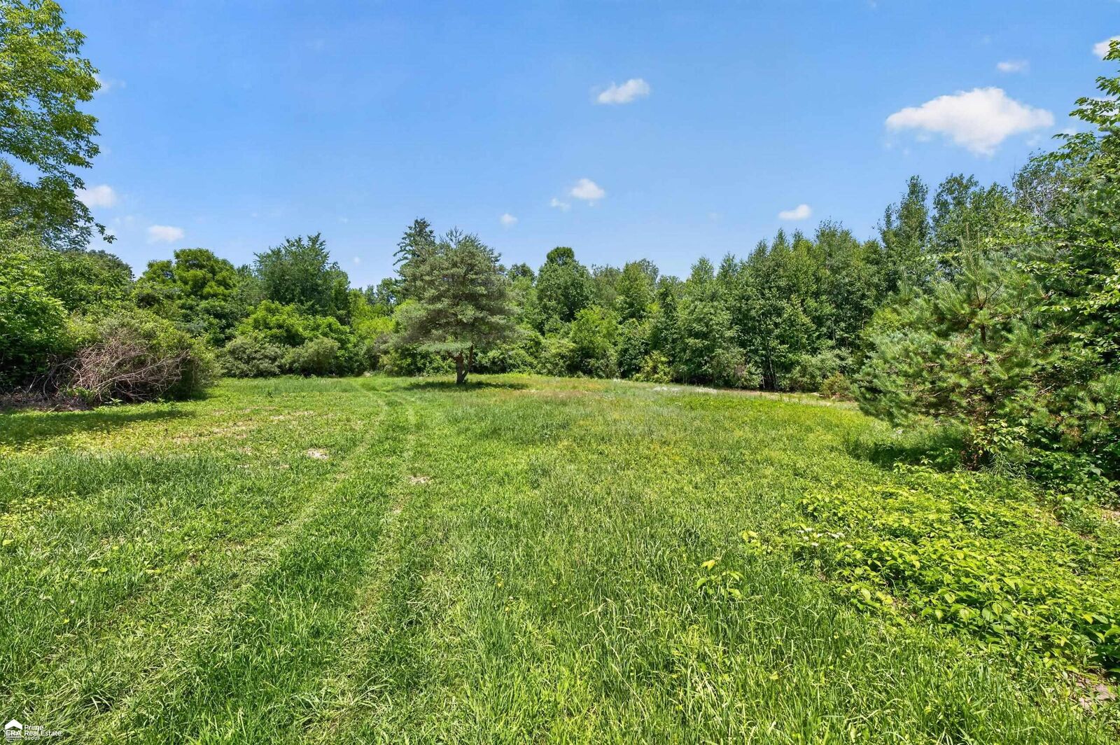 Property Photo:  5498 Piersonville Road  MI 48421 
