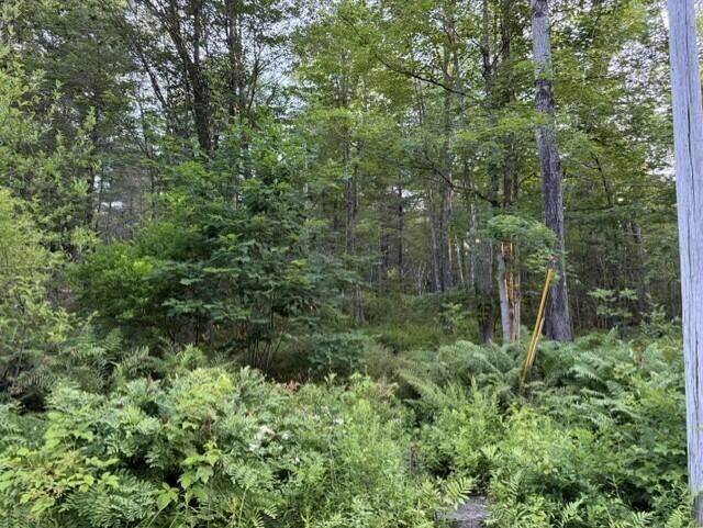 Property Photo: 110 Calderwood Road ME 04574