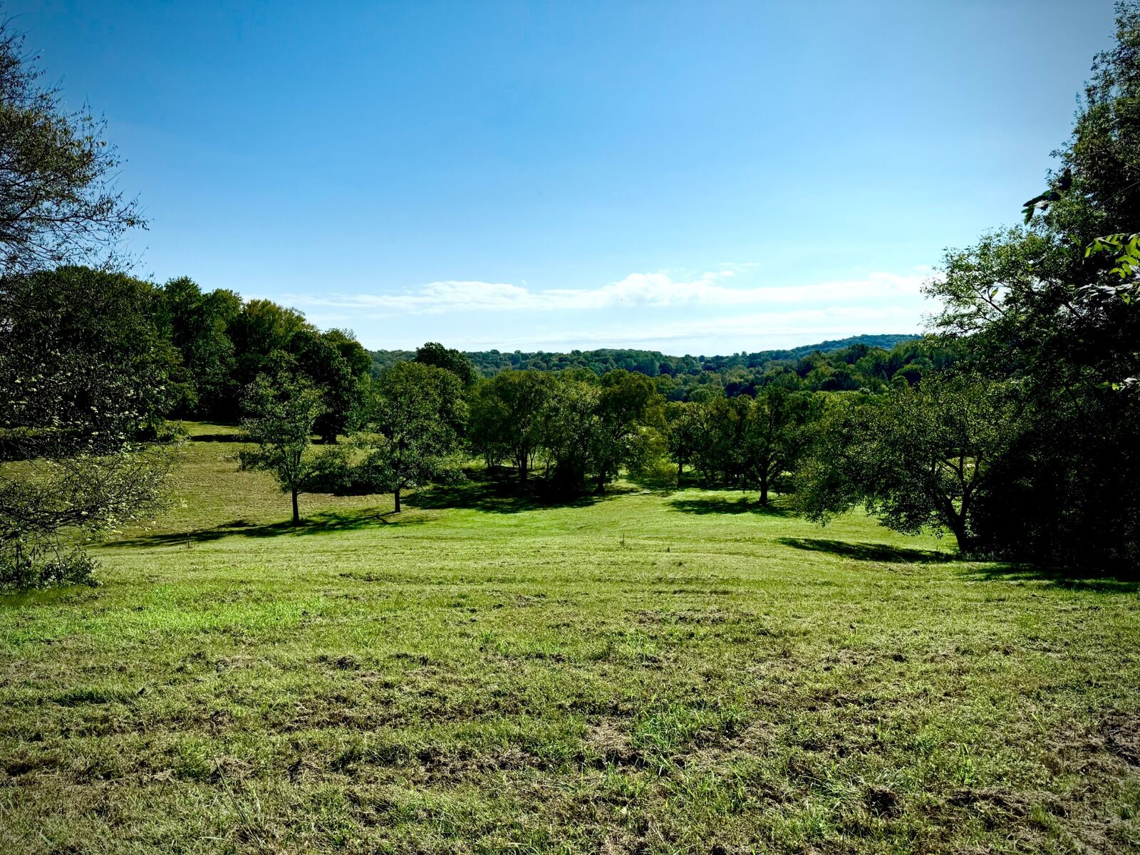 Property Photo:  6628 Bethesda Arno Rd  TN 37179 