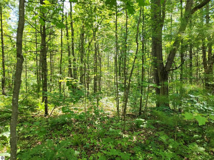 Property Photo: 000 Bradley MI 49646