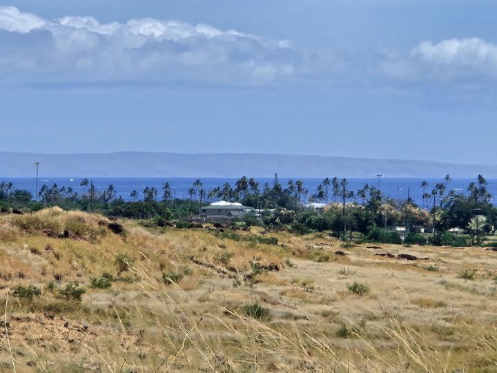 Property Photo: 536B Lahainaluna Rd Unit 3 HI 96761