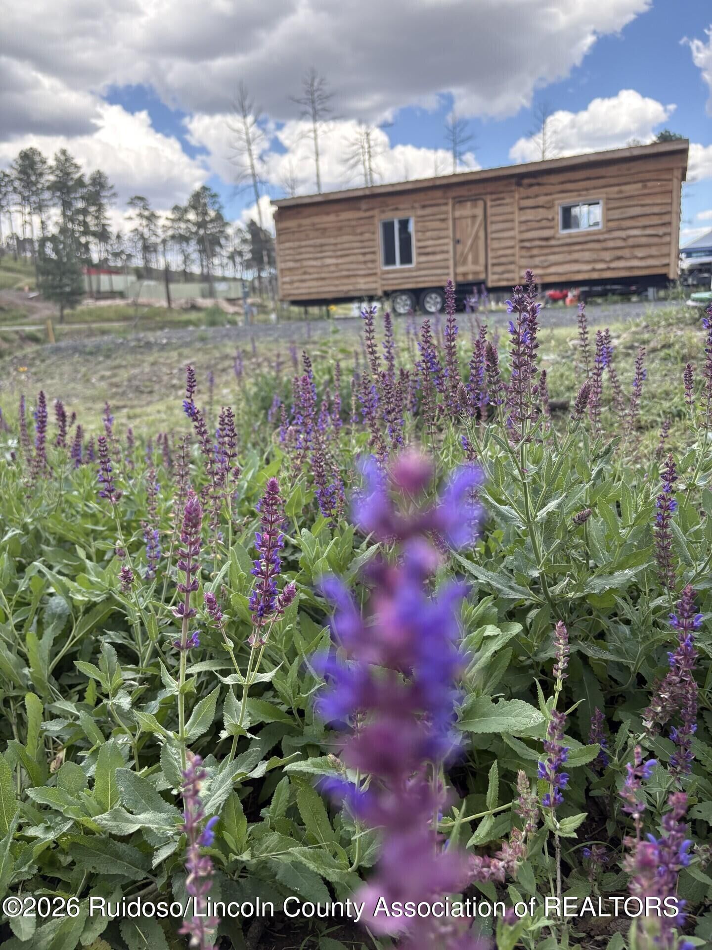 Property Photo:  143 Barney Luck Trail  NM 88345 