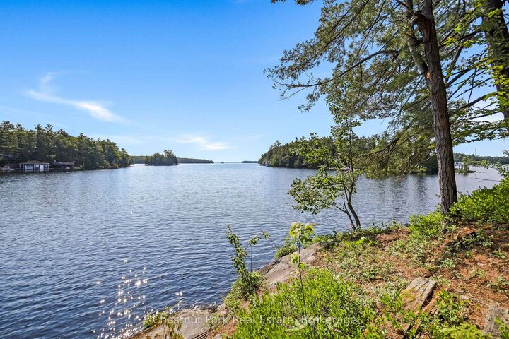 1 Merlin (Island M91) Island — photo 1