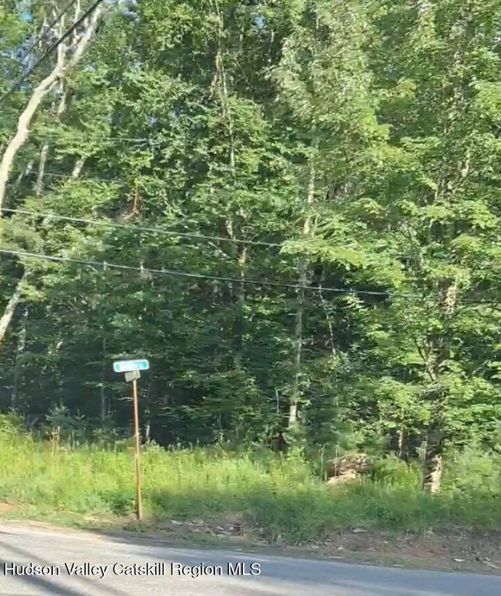 Property Photo:  143 Mountaindale  NY 12435 