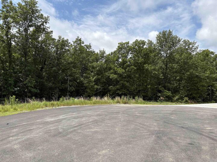 Property Photo: Rebecca Cove AR 72120