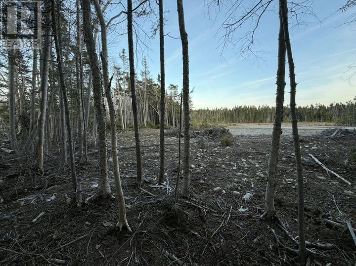 Property Photo:  13 Pine Avenue  NL A2N 3R3 