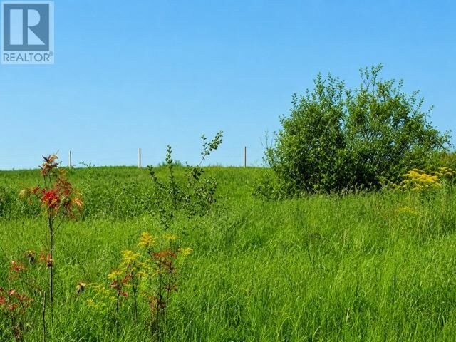 Property Photo:  297 Main Street  NL A0G 4R0 