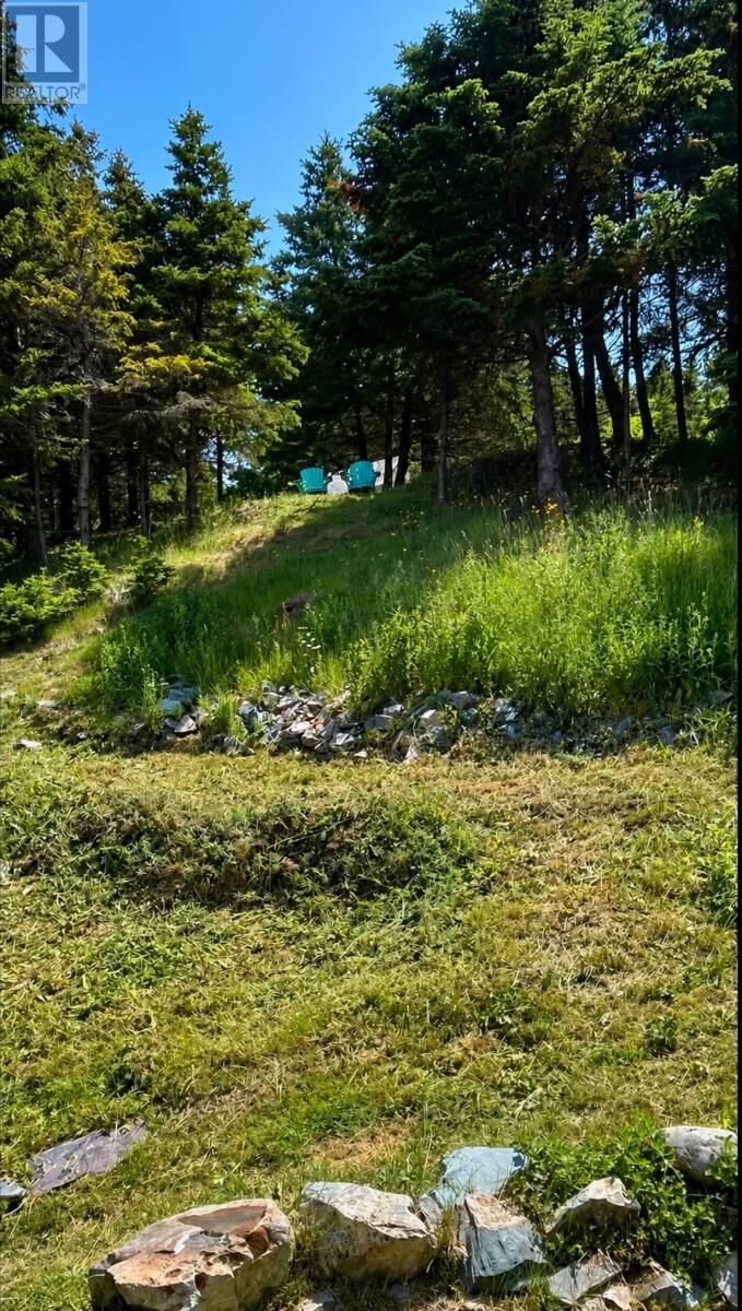 Property Photo:  90 Salmon Cove Road  NL A0A 1W0 