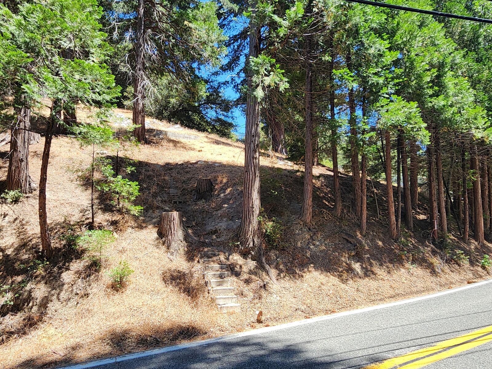 Property Photo:  0 Dart Canyon Road  CA 92325 